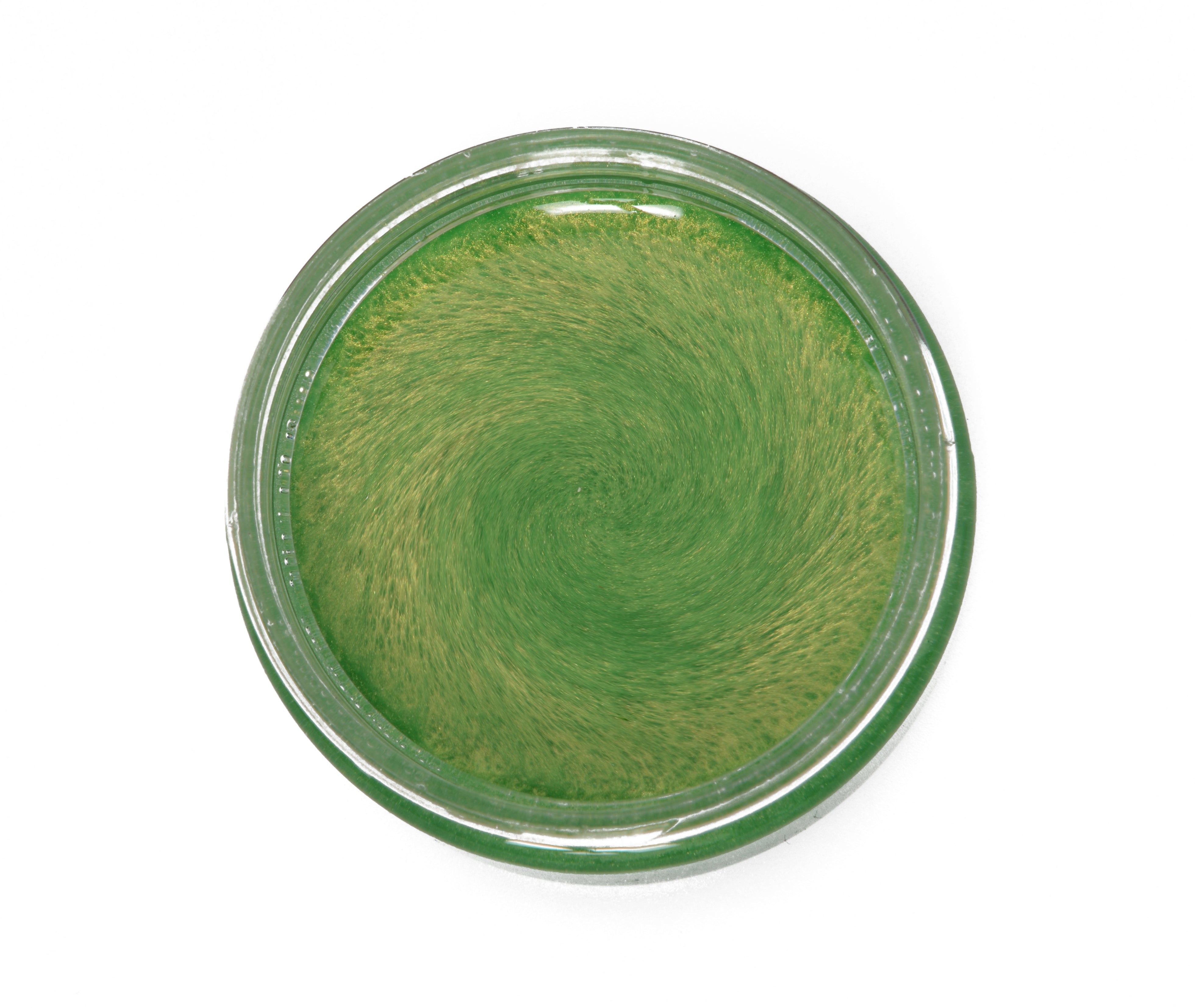 Load image into Gallery viewer, Iguana Green Pearl Pigment